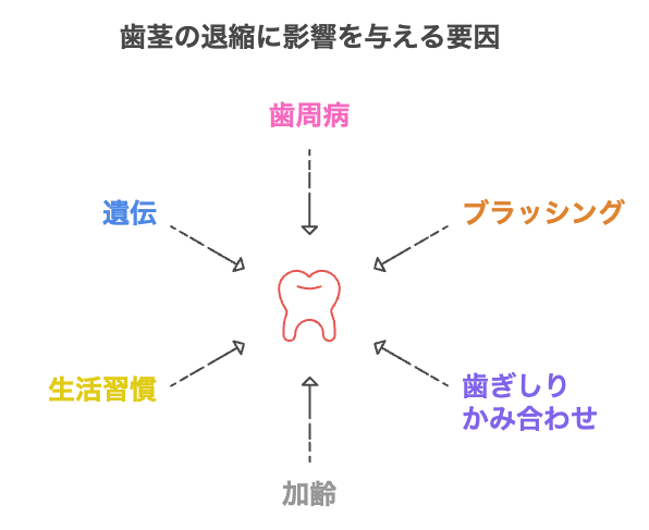 歯茎の退縮に影響を与える主な原因をまとめた図解