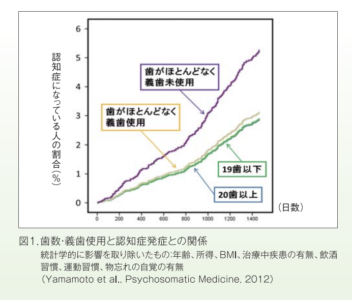 歯数・義歯使用と認知症発症との関係