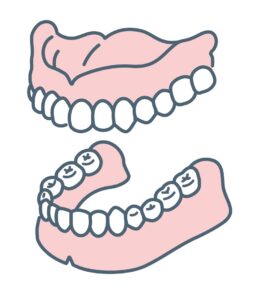 上下すべての歯を補う総入れ歯の構造を示したイラスト