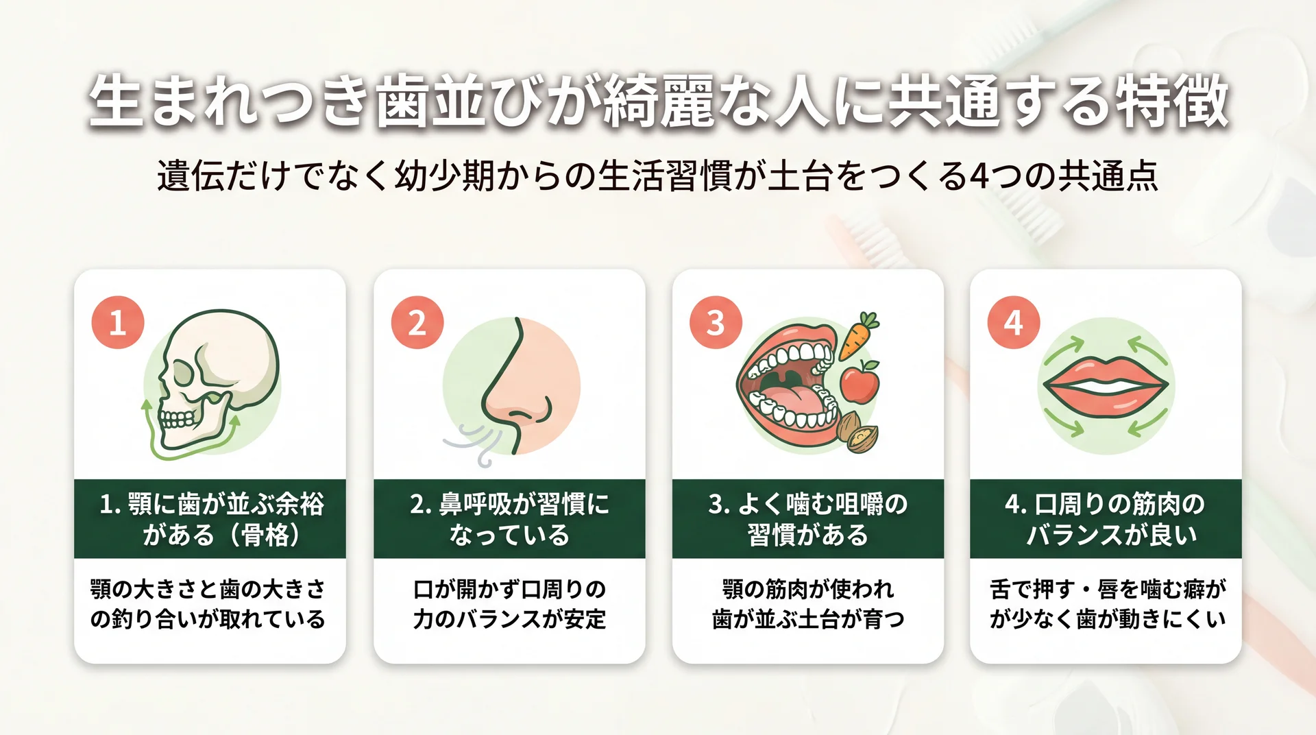 生まれつき歯並びが綺麗な人の4つの共通点（顎に歯が並ぶ余裕・鼻呼吸・よく噛む習慣・口周りの筋バランス）を整理した図解
