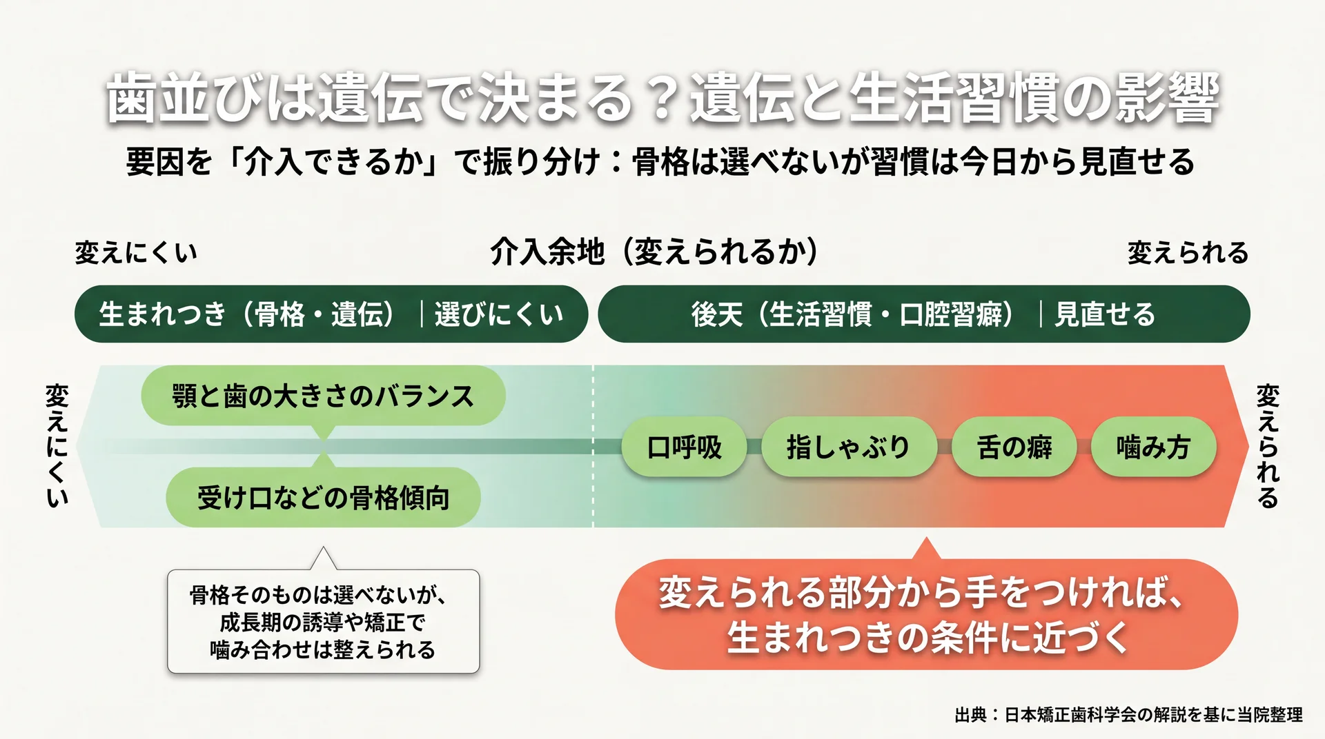 歯並びの要因を介入できるかで振り分けた図（顎や骨格の遺伝は変えにくく、口呼吸・指しゃぶり・舌の癖・噛み方は見直せる）